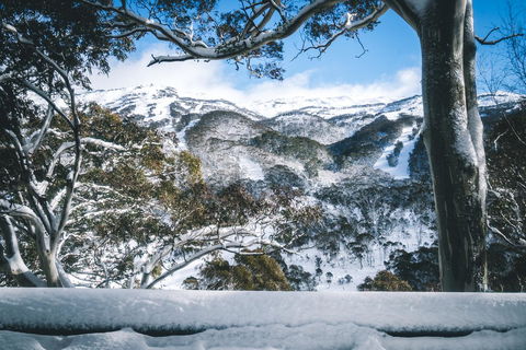 Pure Chalet Thredbo - Accommodation in Bendigo 2