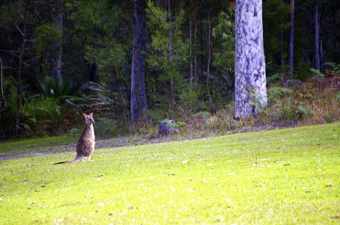Jackson Ranch By Bannisters - Accommodation in Bendigo 31