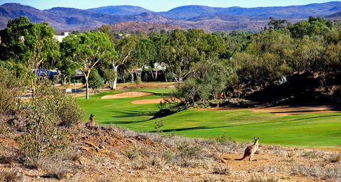 Desert Palms Alice Springs - Accommodation in Bendigo 30
