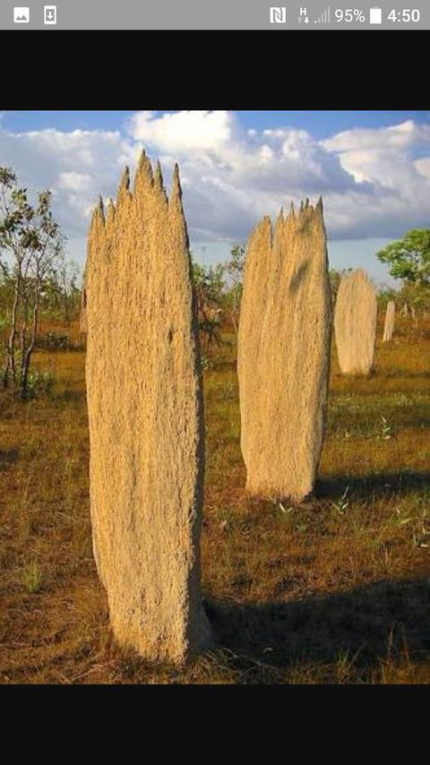 'Tropical Oasis - Darwin NT - Accommodation in Bendigo 33