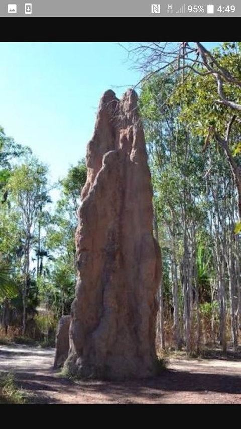 'Tropical Oasis - Darwin NT - Accommodation in Bendigo 31