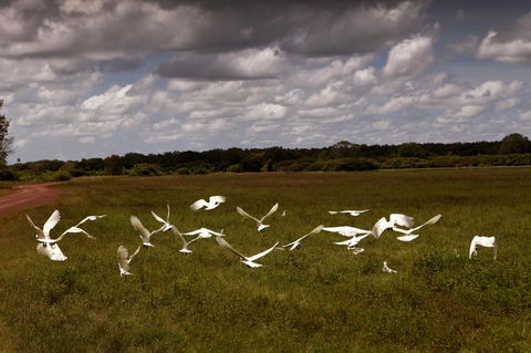 Wildman Wilderness Lodge - Accommodation in Bendigo 20
