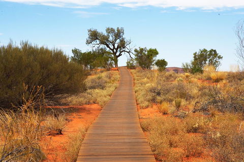 Discovery Resorts - Kings Canyon - Accommodation in Bendigo 27