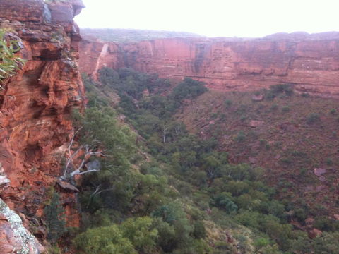 Discovery Resorts - Kings Canyon - Accommodation in Bendigo 34