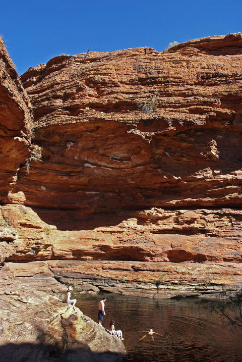 Discovery Resorts - Kings Canyon - Accommodation in Bendigo 44