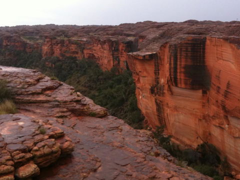 Discovery Resorts - Kings Canyon - Accommodation in Bendigo 35