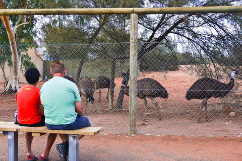 Erldunda Desert Oaks Resort - Accommodation in Bendigo 21