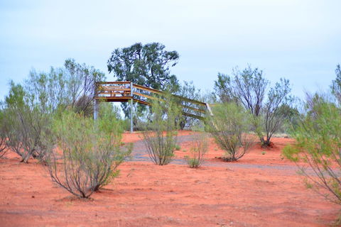 Erldunda Desert Oaks Resort - Accommodation in Bendigo 42
