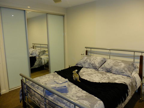 Rock Wallaby - Accommodation in Bendigo 14