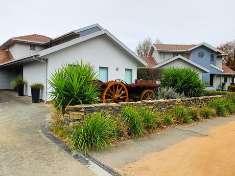 Rock Wallaby - Accommodation in Bendigo 5