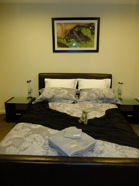 Rock Wallaby - Accommodation in Bendigo 18