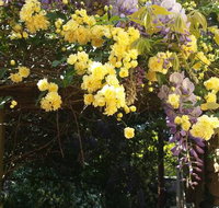 Bowral Road Bed and Breakfast - Accommodation in Bendigo