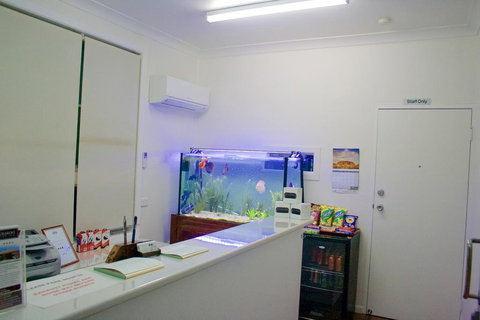 Buckaroo Motor Inn - Accommodation in Bendigo 1