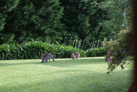 Bundanoon @2578 - Accommodation in Bendigo 0