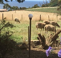 Cape View B and B - Accommodation in Bendigo