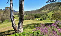 Book Capertee Accommodation Vacations Accommodation in Bendigo Accommodation in Bendigo