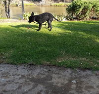 Captain's Cottage Bed  Breakfast - Accommodation in Bendigo