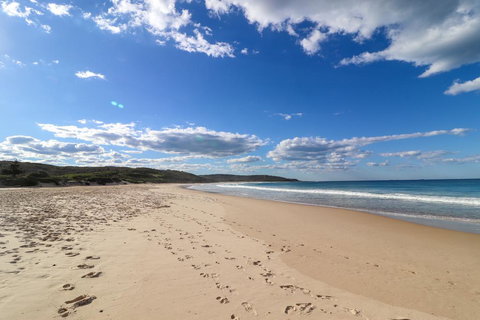 Catho Cottage - Accommodation in Bendigo 2