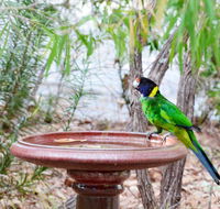 Caves Road Chalets - Accommodation in Bendigo