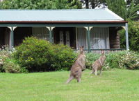 Book Mount Victoria Accommodation Vacations Accommodation in Bendigo Accommodation in Bendigo