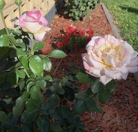 Central Tranquility - Accommodation in Bendigo