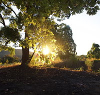 Clarendon Forest Retreat - Accommodation in Bendigo