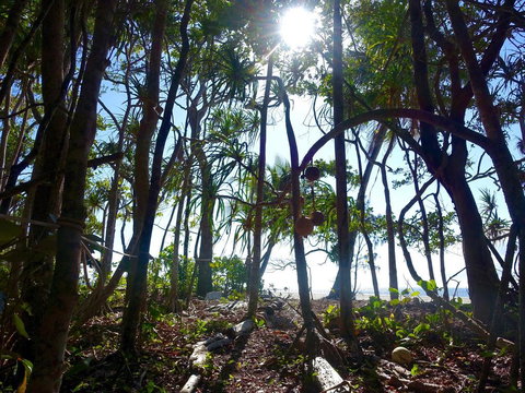 Coconut Beach House - Accommodation in Bendigo 2