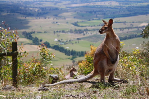 Corroboree Spa Cabin- Eaglereach - Accommodation in Bendigo 1