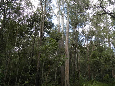 Coucals Cottage - Accommodation in Bendigo 3