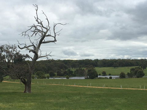 Country Farm House Close To Ballarat - Accommodation in Bendigo 1