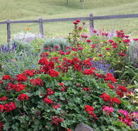 Country Mile Escape - Accommodation in Bendigo