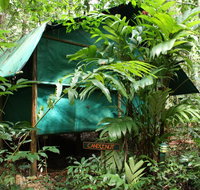 Daintree Crocodylus - Accommodation in Bendigo