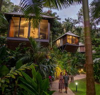 Daintree Ecolodge - Accommodation in Bendigo