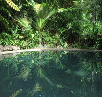 Daintree Rainforest Retreat Motel - Accommodation in Bendigo