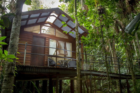 Daintree Wilderness Lodge - Accommodation in Bendigo 2