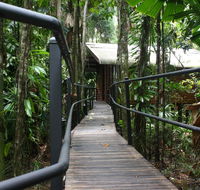 Daintree Wilderness Lodge - Accommodation in Bendigo