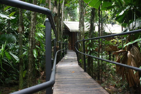 Daintree Wilderness Lodge - Accommodation in Bendigo 0