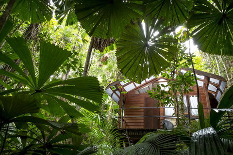 Daintree Wilderness Lodge - Accommodation in Bendigo 1