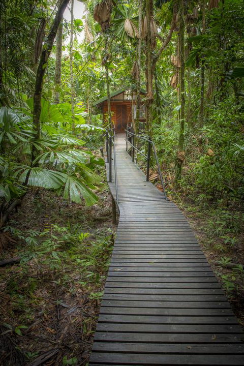 Daintree Wilderness Lodge - Accommodation in Bendigo 3