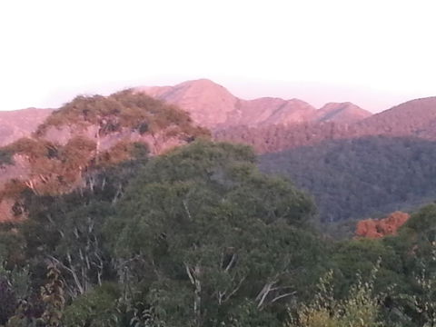 Day Dream Cottage - Accommodation in Bendigo 2