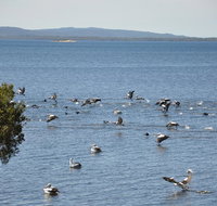 Denmark Waters BB - Accommodation in Bendigo