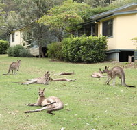 Depot Beach Cabins - Accommodation in Bendigo