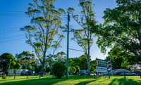 Book Dorrigo Accommodation Vacations Accommodation in Bendigo Accommodation in Bendigo