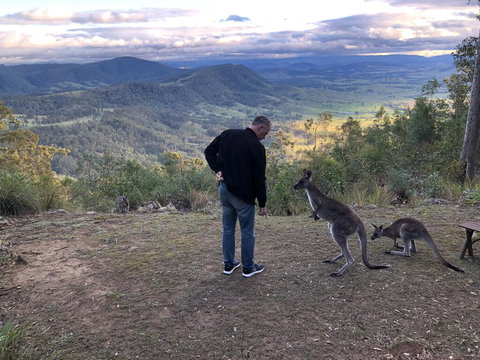 Eagleview Resort - Accommodation in Bendigo 2