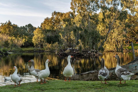 Empire Spa Retreat - Accommodation in Bendigo 2