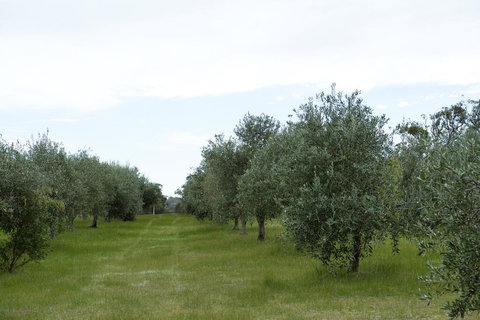 Empire Spa Retreat - Accommodation in Bendigo 1