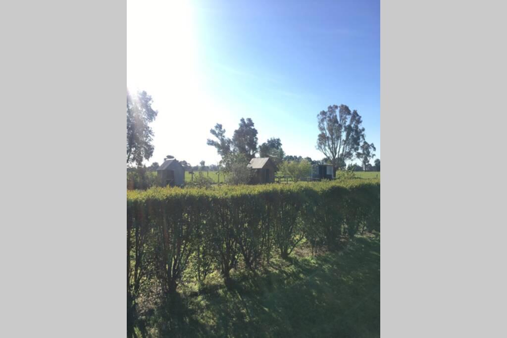 Accommodation in Bendigo