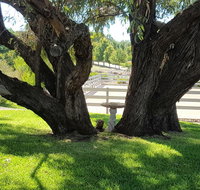 Farm Stay Studio - Accommodation in Bendigo