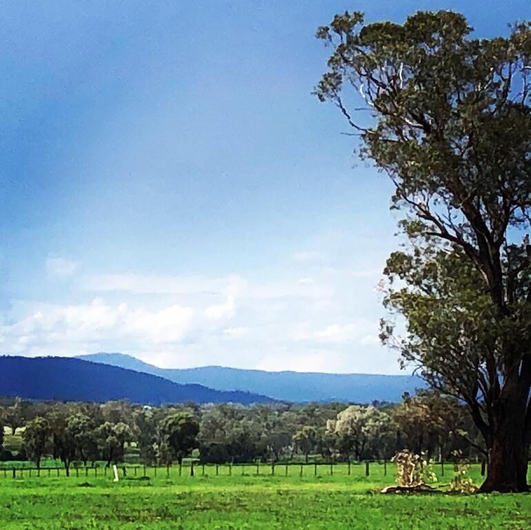 Timbumburi NSW Accommodation in Bendigo