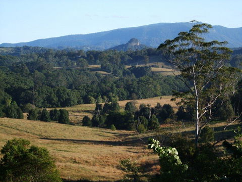 Grey Gum Lodge - Accommodation in Bendigo 0